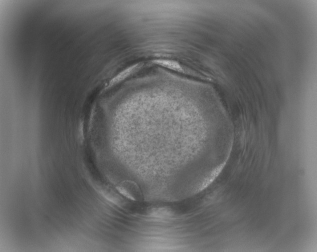 X0000068280262200605121919