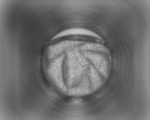 X0000068280263200605121919