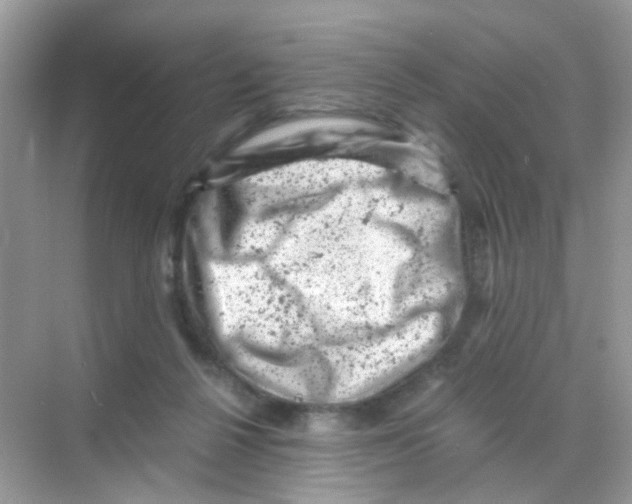 X0000068280264200605121920