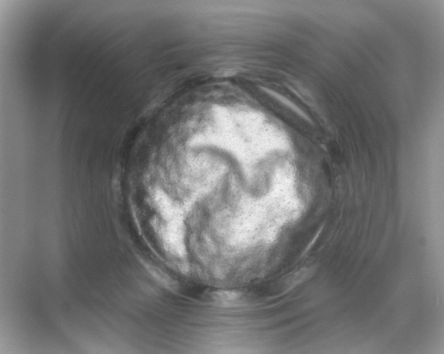 X0000068280265200605121920