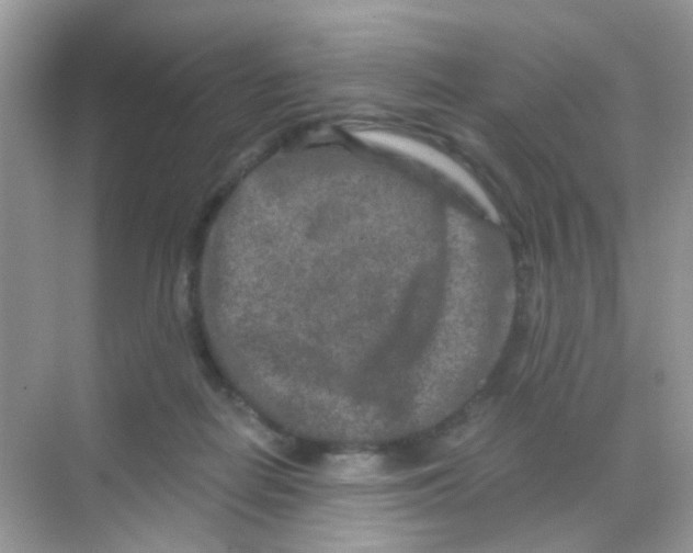 X0000068280266200605121920