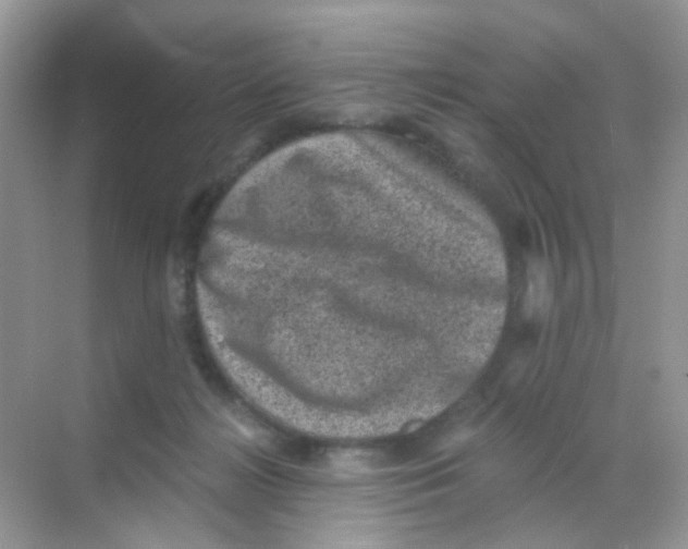 X0000068280268200605121920