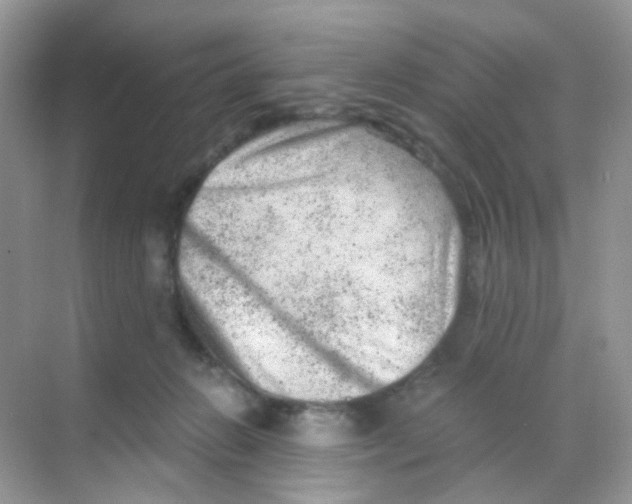 X0000068280270200605121920