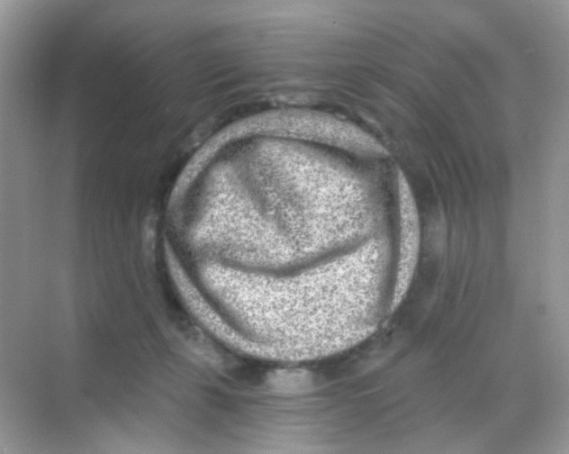 X0000068280271200605121920