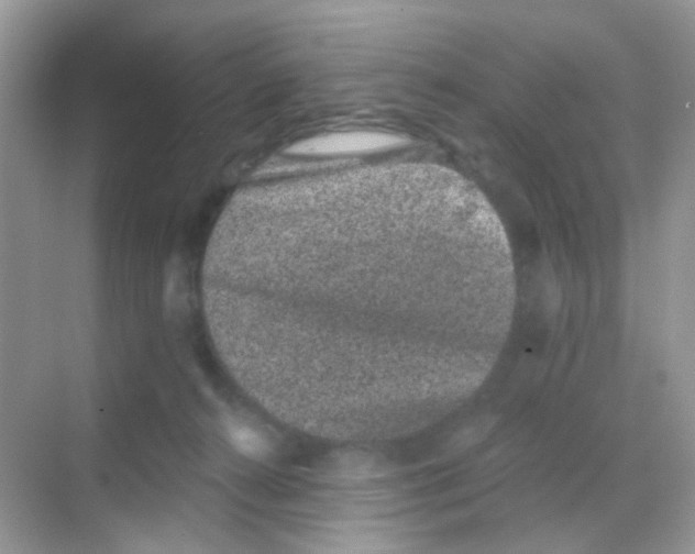 X0000068280272200605121920