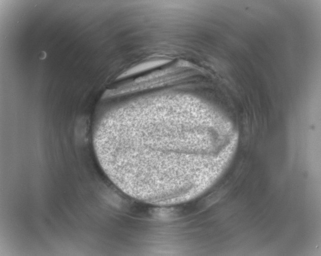 X0000068280273200605121920