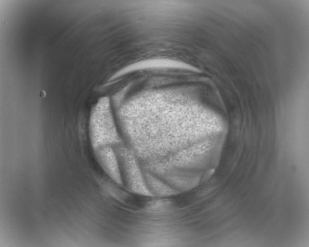 X0000068280274200605121920