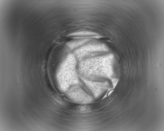 X0000068280275200605121920