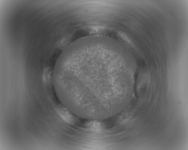 X0000068280276200605121920