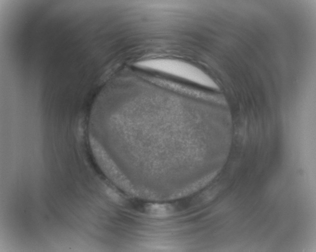 X0000068280277200605121920