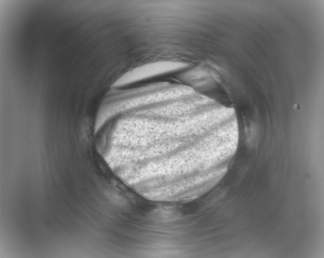 X0000068280280200605121920