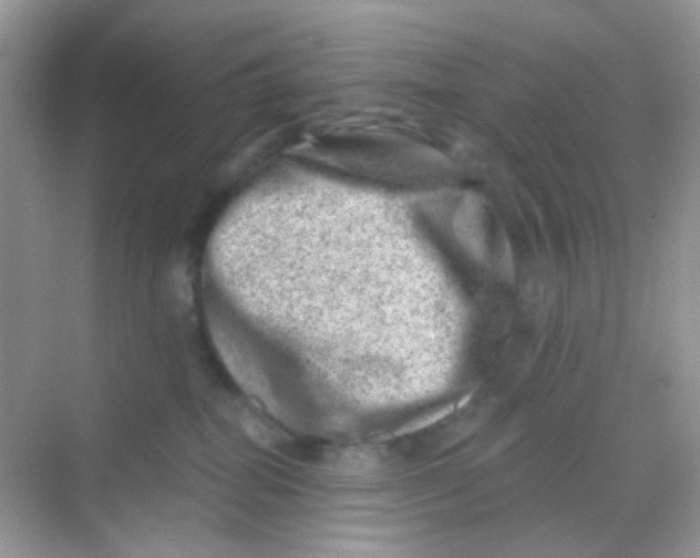 X0000068280282200605121920