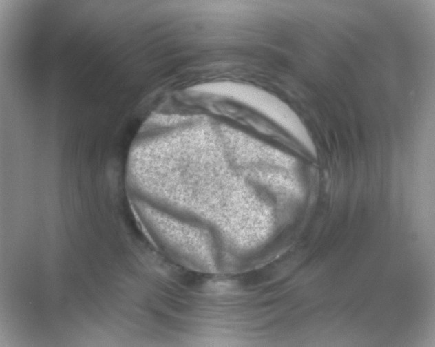 X0000068280283200605121920