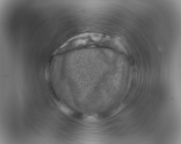 X0000068280285200605121920