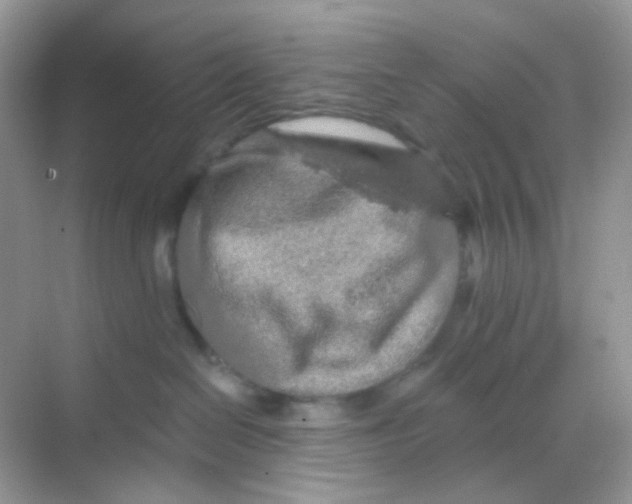 X0000068280286200605121920