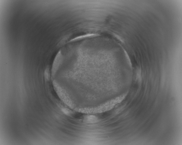 X0000068280287200605121920