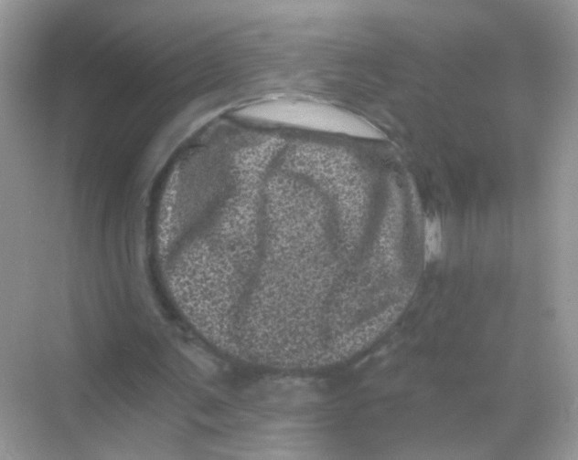 X0000068280291200605121919