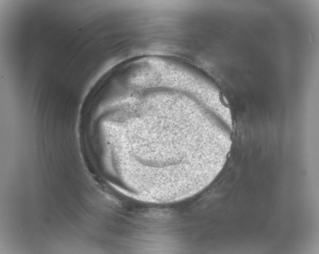 X0000068280292200605121919