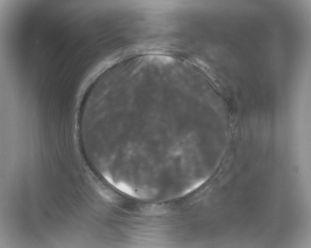 X0000068280293200605121919