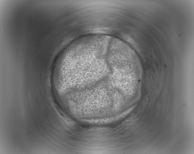 X0000068280299200605121919