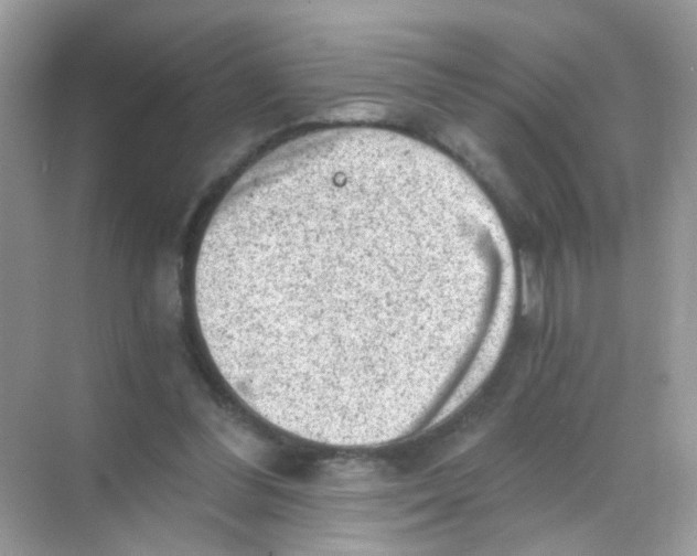 X0000068280300200605121919