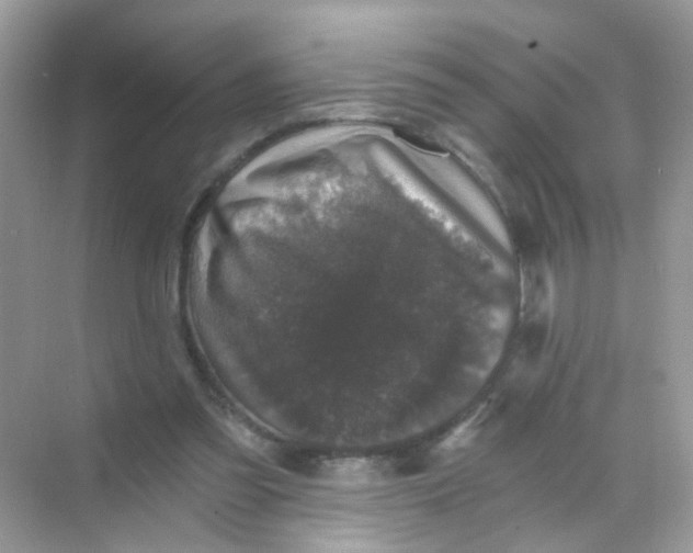 X0000068280301200605121919