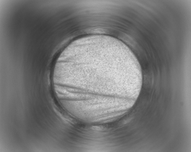 X0000068280302200605121919