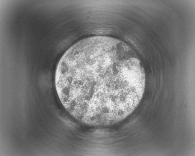 X0000068280303200605121919