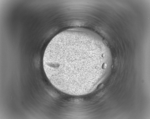 X0000068280304200605121919