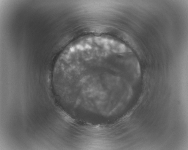 X0000068280305200605121919