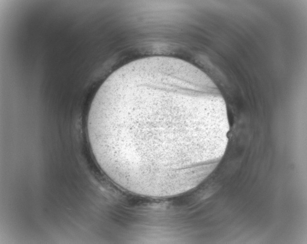 X0000068280306200605121919