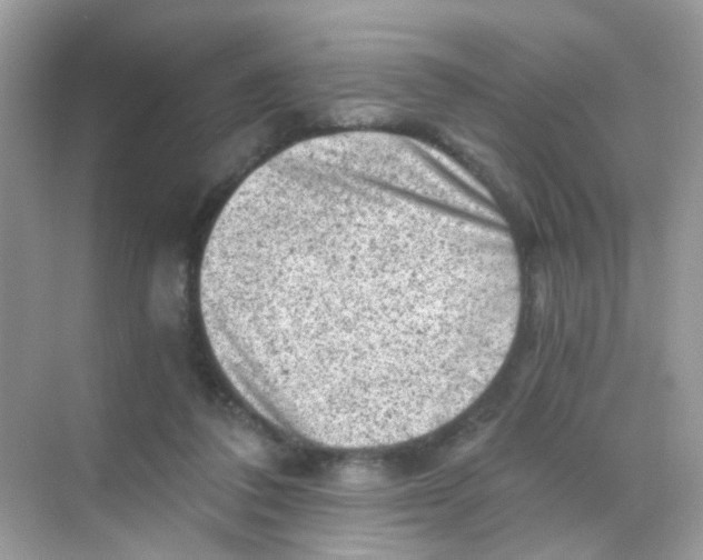 X0000068280308200605121919