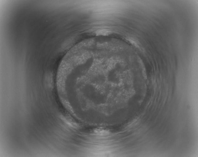 X0000068280311200605121919