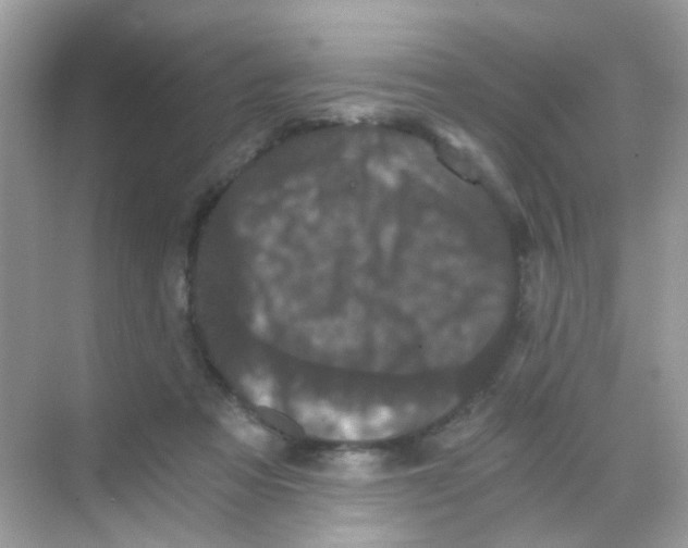 X0000068280313200605121919