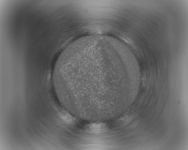 X0000068280314200605121919