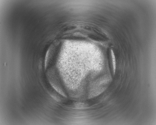 X0000068280315200605121919