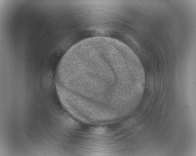 X0000068280318200605121919