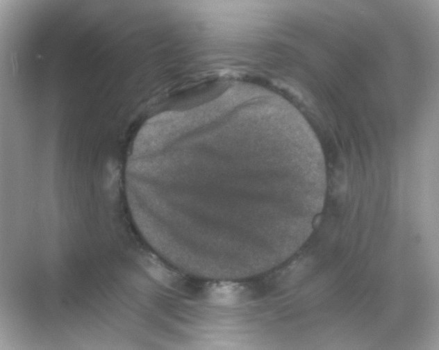 X0000068280321200605121919