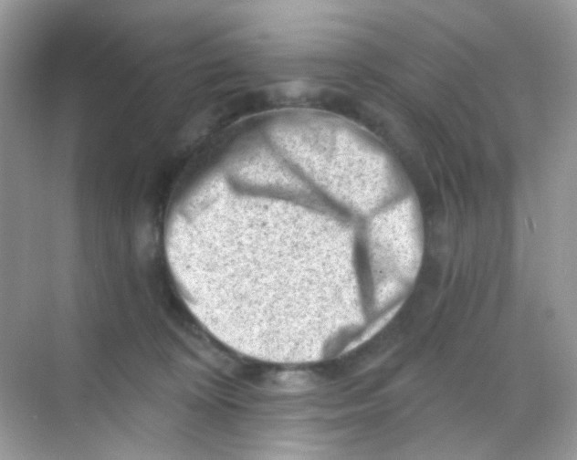 X0000068280324200605121919