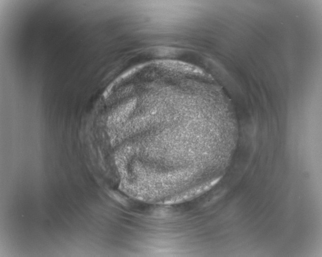 X0000068280325200605121918