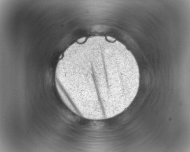 X0000068280328200605121918