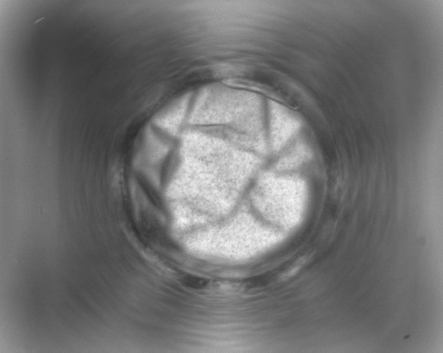 X0000068280329200605121918