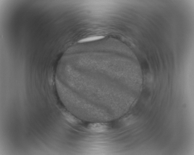 X0000068280331200605121918