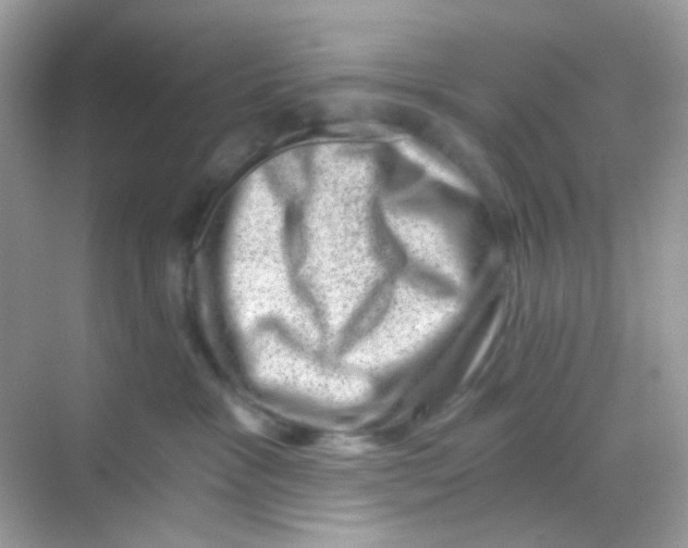 X0000068280333200605121918