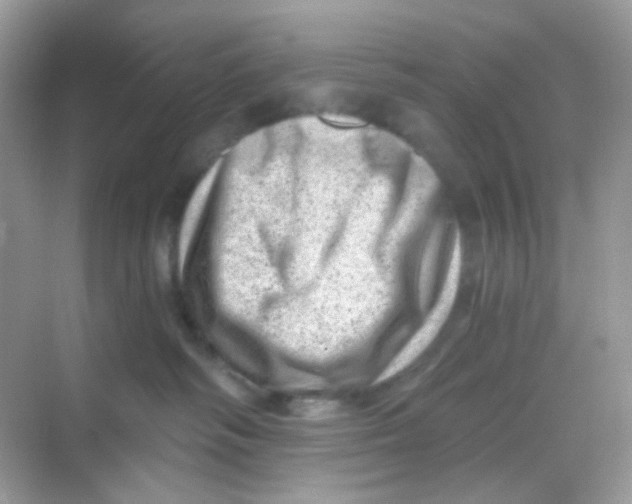 X0000068280334200605121918