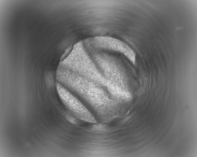 X0000068280335200605121918