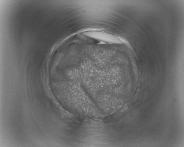 X0000068280337200605121918