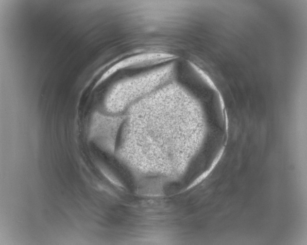 X0000068280338200605121918