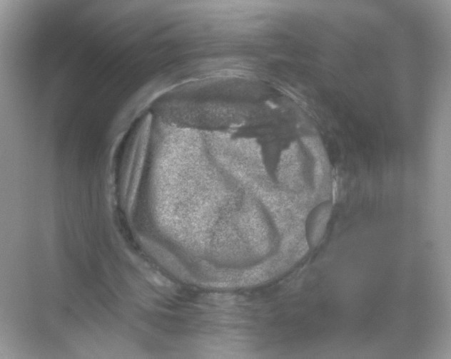 X0000068280339200605121918