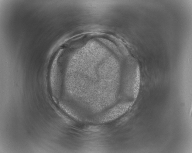 X0000068280341200605121918